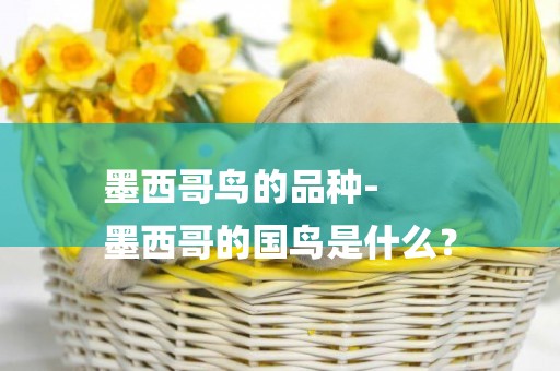 墨西哥鳥的品種-
墨西哥的國鳥是什么？