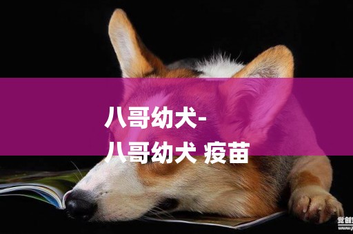 八哥幼犬-
八哥幼犬 疫苗