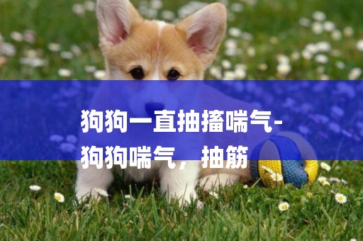 狗狗一直抽搐喘氣-
狗狗喘氣，抽筋