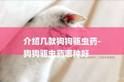 介紹幾款狗狗驅蟲藥-
狗狗驅蟲藥哪種好