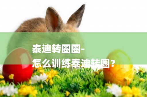 泰迪轉圈圈-
怎么訓練泰迪轉圈？
