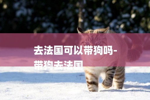 去法國可以帶狗嗎-
帶狗去法國