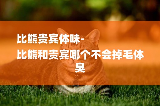 比熊貴賓體味-
比熊和貴賓哪個不會掉毛體臭