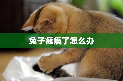 兔子癱瘓了怎么辦