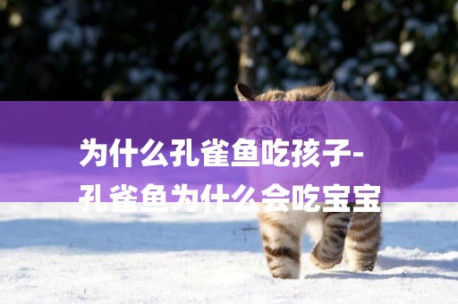 為什么孔雀魚吃孩子-
孔雀魚為什么會吃寶寶