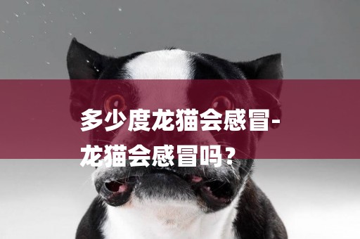 多少度龍貓會感冒-
龍貓會感冒嗎？