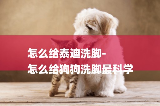 怎么給泰迪洗腳-
怎么給狗狗洗腳最科學