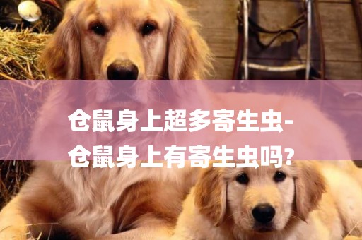 倉鼠身上超多寄生蟲-
倉鼠身上有寄生蟲嗎?