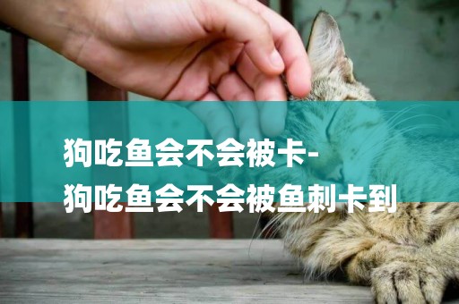狗吃魚會不會被卡-
狗吃魚會不會被魚刺卡到
