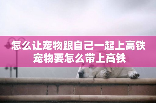 怎么讓寵物跟自己一起上高鐵 寵物要怎么帶上高鐵
