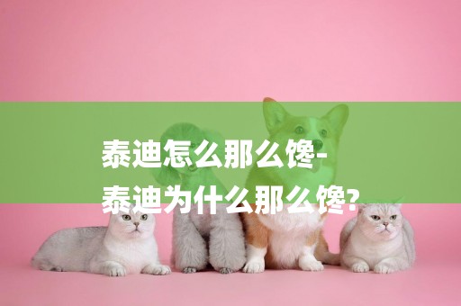 泰迪怎么那么饞-
泰迪為什么那么饞?