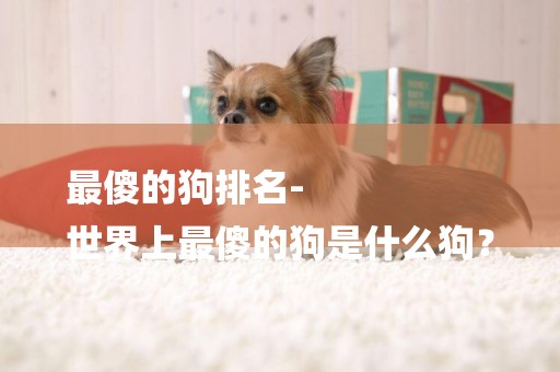 最傻的狗排名-
世界上最傻的狗是什么狗？