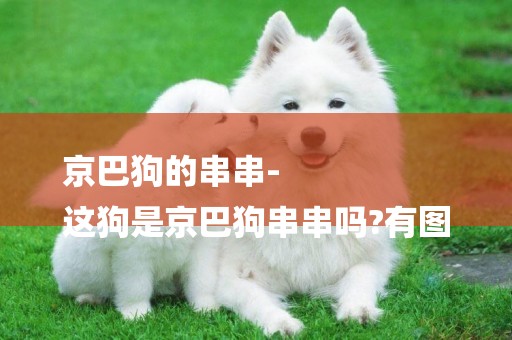 京巴狗的串串-
這狗是京巴狗串串嗎?有圖