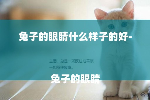兔子的眼睛什么樣子的好-
兔子的眼睛