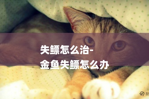 失鰾怎么治-
金魚失鰾怎么辦