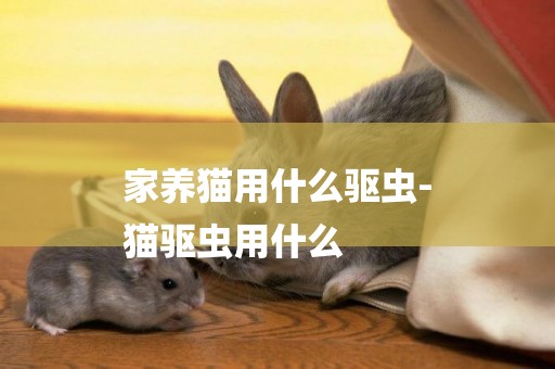 家養貓用什么驅蟲-
貓驅蟲用什么