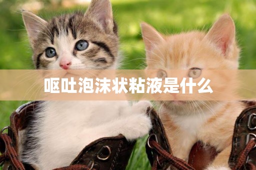 嘔吐泡沫狀粘液是什么