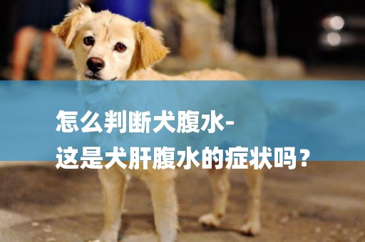 怎么判斷犬腹水-
這是犬肝腹水的癥狀嗎？