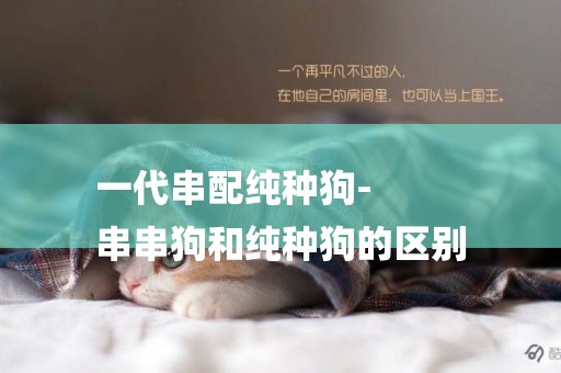 一代串配純種狗-
串串狗和純種狗的區別