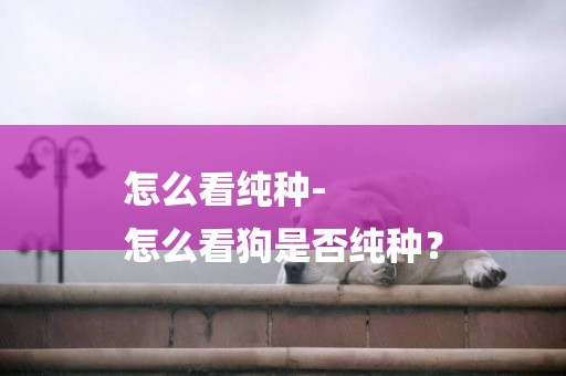 怎么看純種-
怎么看狗是否純種？