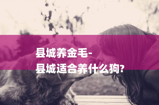 縣城養金毛-
縣城適合養什么狗?