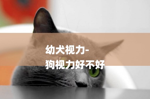 幼犬視力-
狗視力好不好