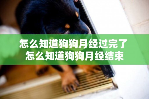 怎么知道狗狗月經過完了 怎么知道狗狗月經結束