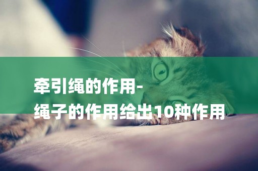 牽引繩的作用-
繩子的作用給出10種作用