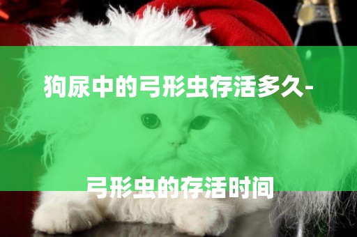 狗尿中的弓形蟲存活多久-
弓形蟲的存活時間