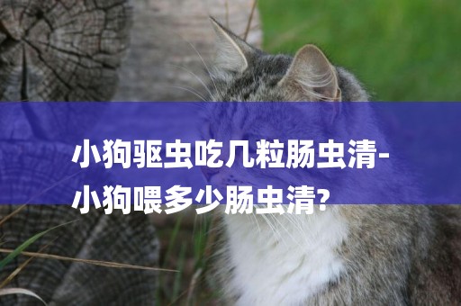 小狗驅蟲吃幾粒腸蟲清-
小狗喂多少腸蟲清?