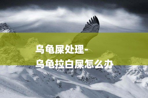 烏龜屎處理-
烏龜拉白屎怎么辦