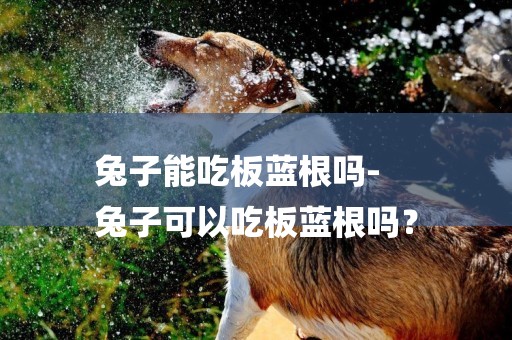 兔子能吃板藍根嗎-
兔子可以吃板藍根嗎？