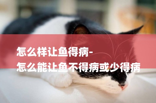 怎么樣讓魚得病-
怎么能讓魚不得病或少得病