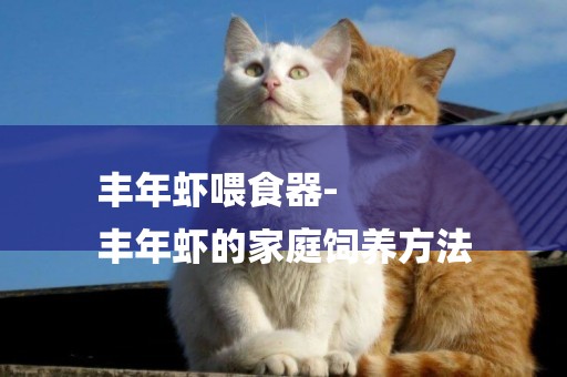 豐年蝦喂食器-
豐年蝦的家庭飼養方法