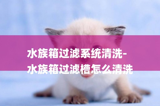 水族箱過濾系統清洗-
水族箱過濾槽怎么清洗