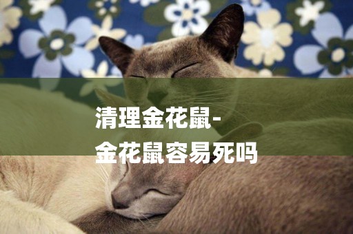 清理金花鼠-
金花鼠容易死嗎