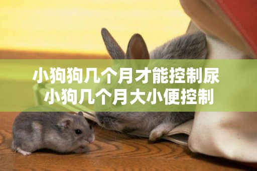 小狗狗幾個月才能控制尿 小狗幾個月大小便控制