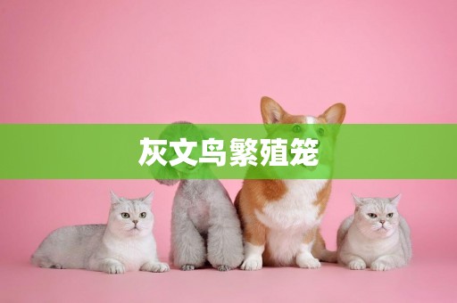 灰文鳥繁殖籠