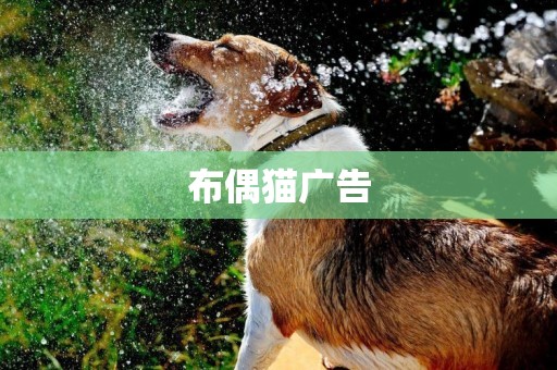 布偶貓廣告