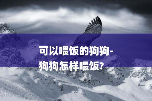 可以喂飯的狗狗-
狗狗怎樣喂飯?