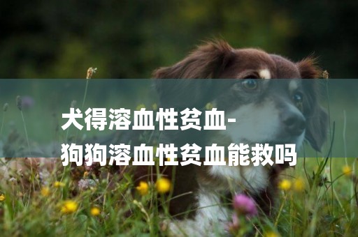 犬得溶血性貧血-
狗狗溶血性貧血能救嗎