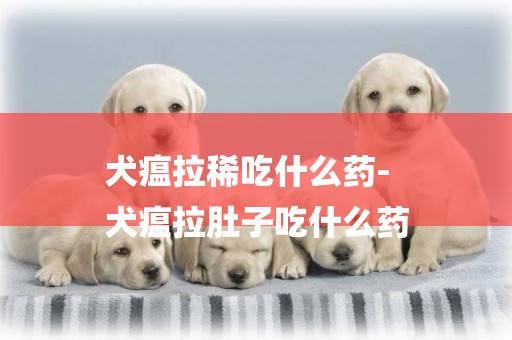 犬瘟拉稀吃什么藥-
犬瘟拉肚子吃什么藥