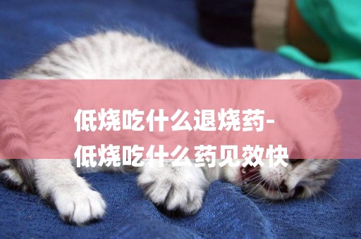 低燒吃什么退燒藥-
低燒吃什么藥見效快