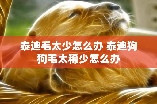 泰迪毛太少怎么辦 泰迪狗狗毛太稀少怎么辦