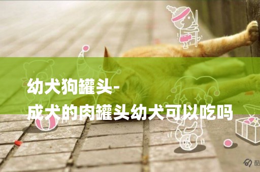 幼犬狗罐頭-
成犬的肉罐頭幼犬可以吃嗎