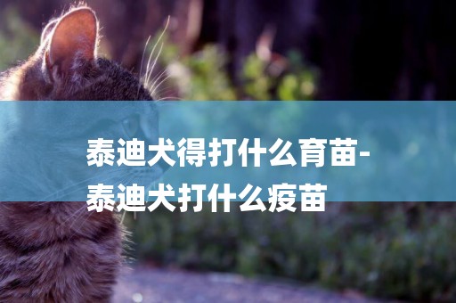 泰迪犬得打什么育苗-
泰迪犬打什么疫苗