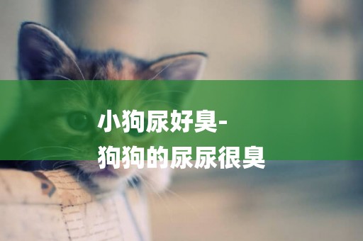 小狗尿好臭-
狗狗的尿尿很臭