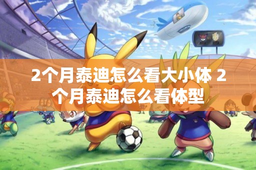 2個月泰迪怎么看大小體 2個月泰迪怎么看體型