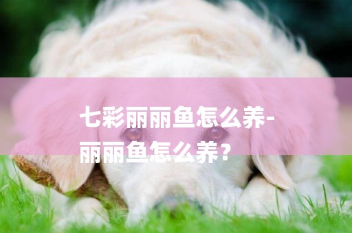 七彩麗麗魚怎么養-
麗麗魚怎么養？