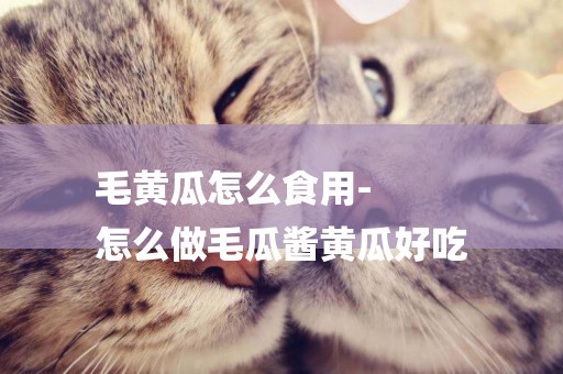 毛黃瓜怎么食用-
怎么做毛瓜醬黃瓜好吃